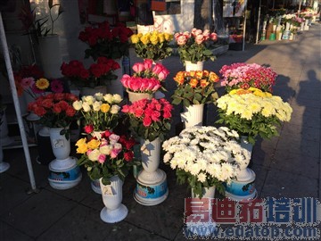 Nexus 6/iPhone 6 Plus 拍照谁更强?