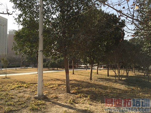 С��Noteȫ�����飺����810��ɨ��Ϊ��ҫ6 Plus С��5����η��գ�