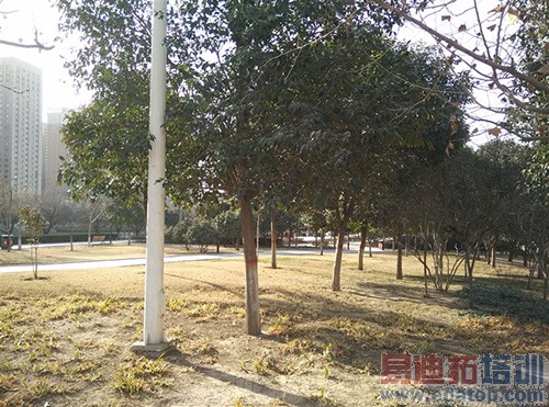 С��Noteȫ�����飺����810��ɨ��Ϊ��ҫ6 Plus С��5����η��գ�