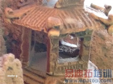 ��ͷͬΪ800������ moto g����nexus 5