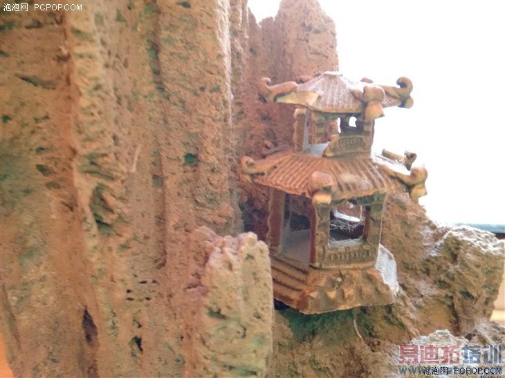 ��ͷͬΪ800������ moto g����nexus 5 