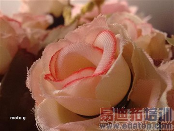 ��ͷͬΪ800������ moto g����nexus 5