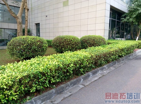 同门大比拼 魅蓝/魅蓝note/MX4对比拍照评测