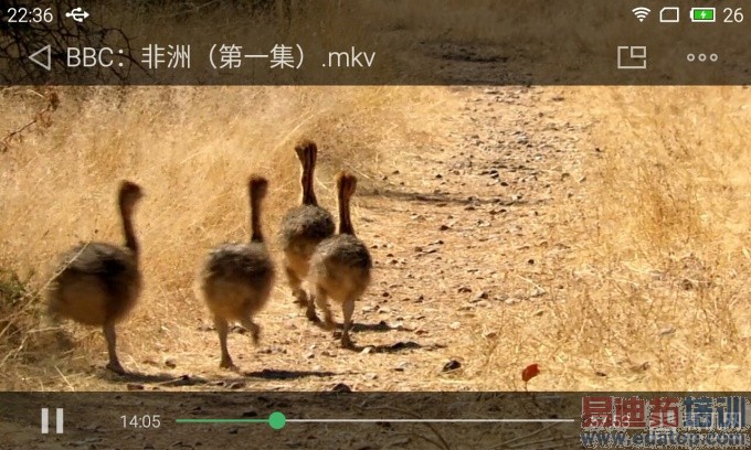 ���õ������������ֻ������� - S50210-223624.jpg