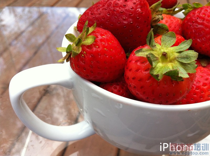 ʷ����ȫ��iPhone4s/iPhone5/iPhone5s/iPhone6�Ա����� 