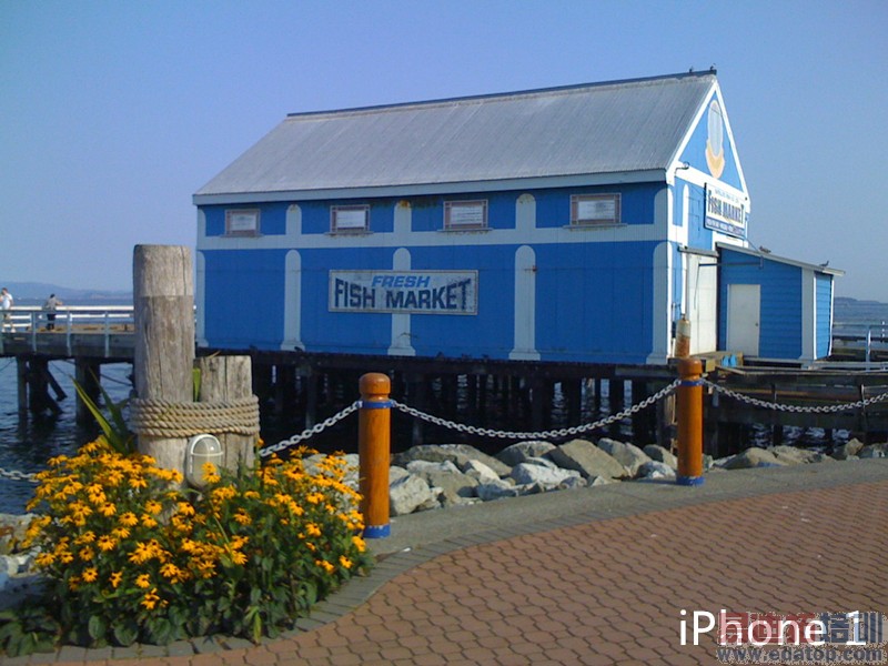 史上最全!iPhone4s/iPhone5/iPhone5s/iPhone6对比评测