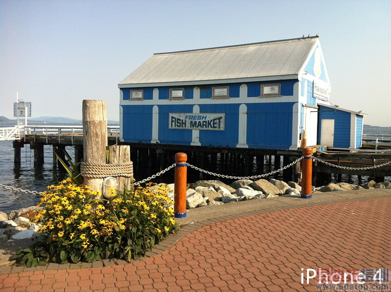 ʷ����ȫ��iPhone4s/iPhone5/iPhone5s/iPhone6�Ա����� 