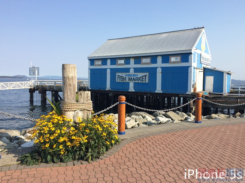 ʷ����ȫ��iPhone4s/iPhone5/iPhone5s/iPhone6�Ա����� 