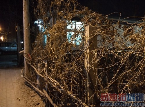 С��Note/С��4�Ա����� ��ѧ���������� 