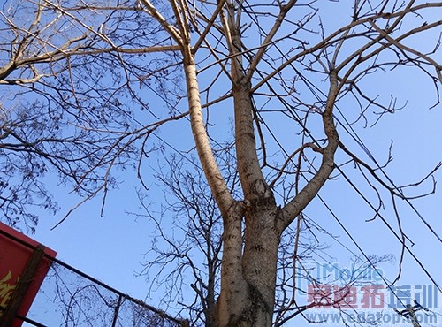 699Ԫ��1300����� �����ֻ�����ר������