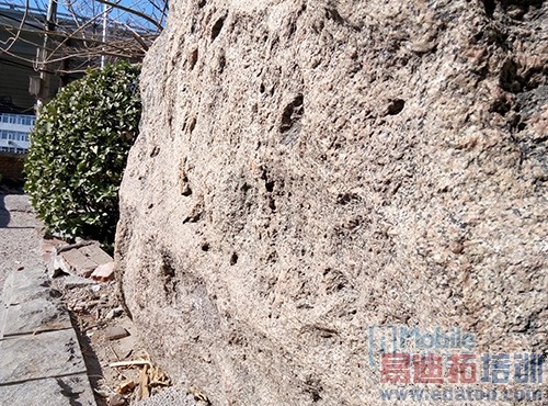 699元配1300万相机 魅蓝手机拍照专项评测