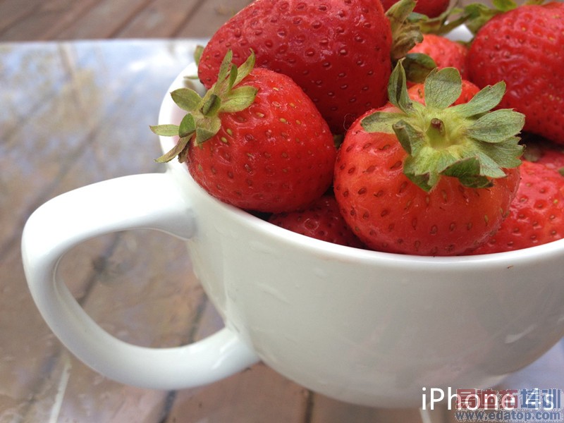 史上最全!iPhone4s/iPhone5/iPhone5s/iPhone6对比评测