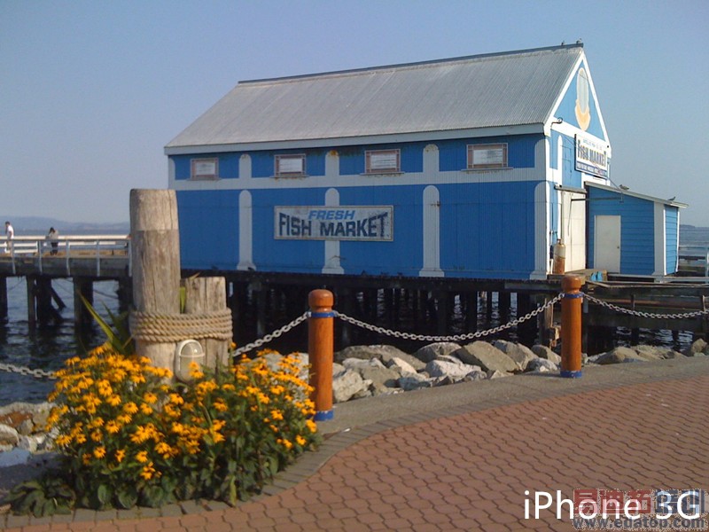 史上最全!iPhone4s/iPhone5/iPhone5s/iPhone6对比评测