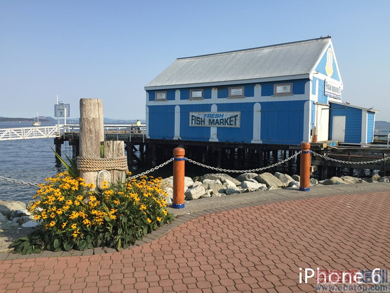 史上最全!iPhone4s/iPhone5/iPhone5s/iPhone6对比评测