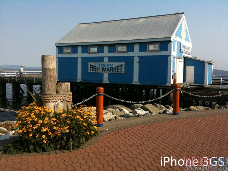 史上最全!iPhone4s/iPhone5/iPhone5s/iPhone6对比评测