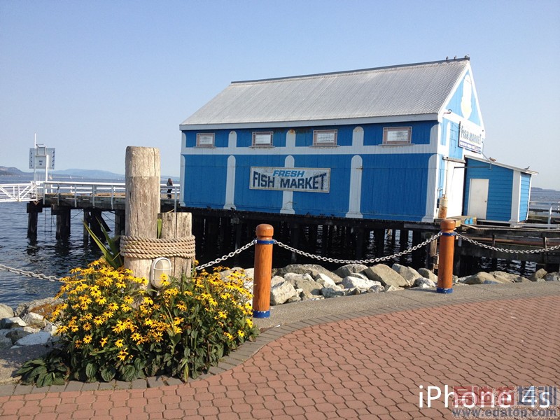 史上最全!iPhone4s/iPhone5/iPhone5s/iPhone6对比评测