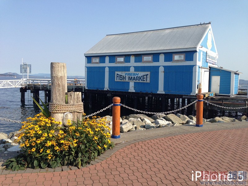 史上最全!iPhone4s/iPhone5/iPhone5s/iPhone6对比评测