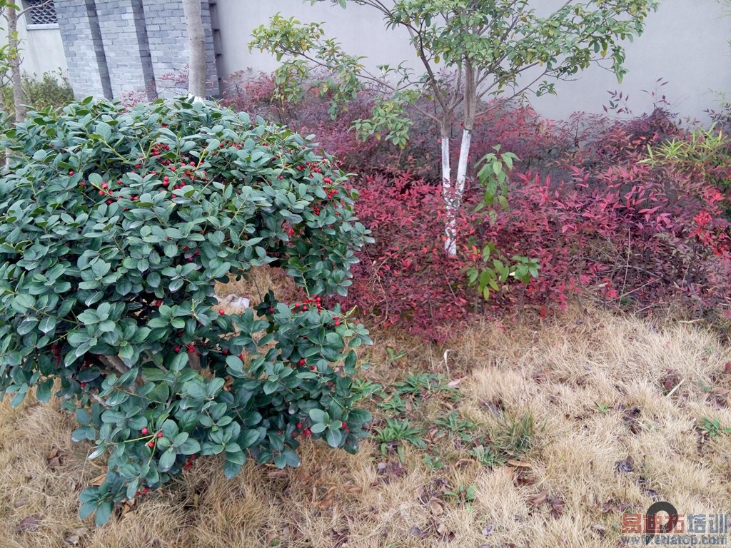 ǧԪ�±�� ����Note�������