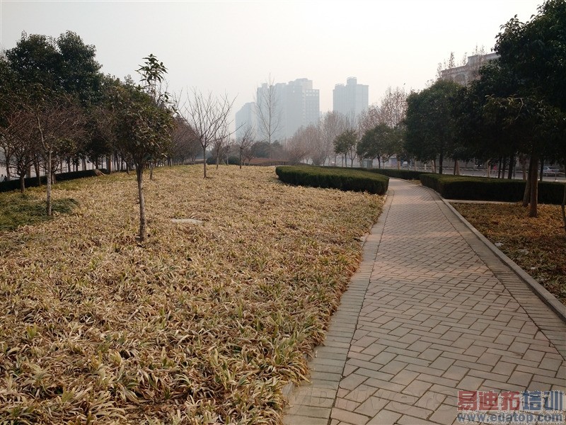 新Moto X行货版评测:性价比都是浮云