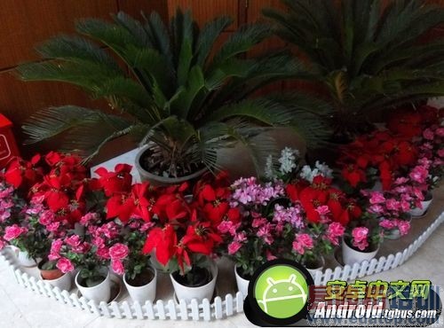 ����Note�ԱȺ���2��ϸ���⣺��಻��һ��㣿