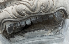 �Լ۱��ļ�ǿ�� ����X7�Ա���ҫ6 Plus��62��ͼ