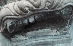 �Լ۱��ļ�ǿ�� ����X7�Ա���ҫ6 Plus��63��ͼ