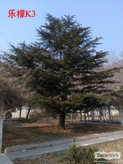 ����Note����Note���� ���ǧԪ���ԱȺ���֮����ƪ