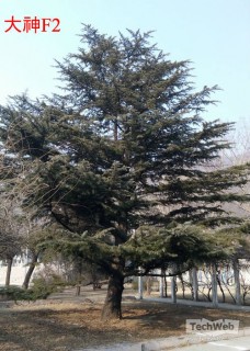 ����Note����Note���� ���ǧԪ���ԱȺ���֮����ƪ