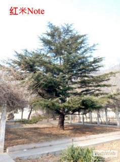 ����Note����Note���� ���ǧԪ���ԱȺ���֮����ƪ