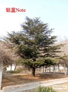 ����Note����Note���� ���ǧԪ���ԱȺ���֮����ƪ