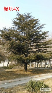 ����Note����Note���� ���ǧԪ���ԱȺ���֮����ƪ