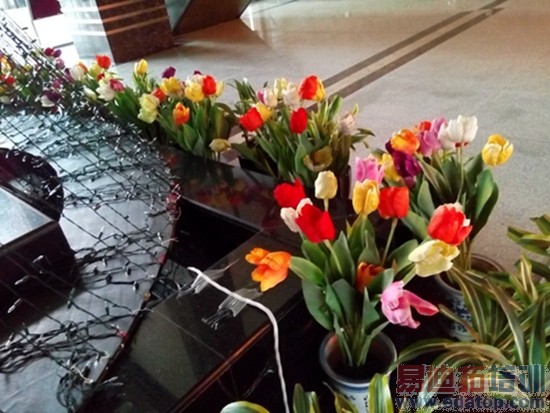 ���Լ۱� TCLôô��3N��С��4��ϸ����