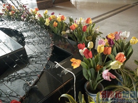 ���Լ۱� TCLôô��3N��С��4��ϸ����