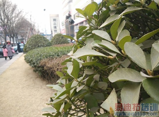 ���Լ۱� TCLôô��3N��С��4��ϸ����