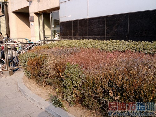 Moto X��������-23