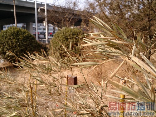 Moto X��������-18