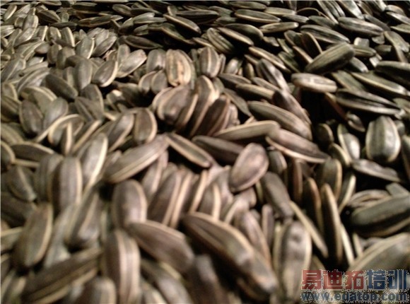 �Ա����⣺С��Note vs��ҫ6 Plus ����