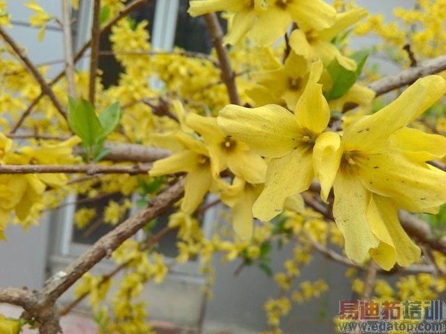 599Ԫˢ���Լ۱��¸� �����ֻ�2A���� 