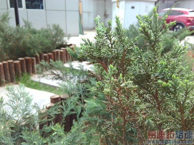 599Ԫˢ���Լ۱��¸� �����ֻ�2A���� 