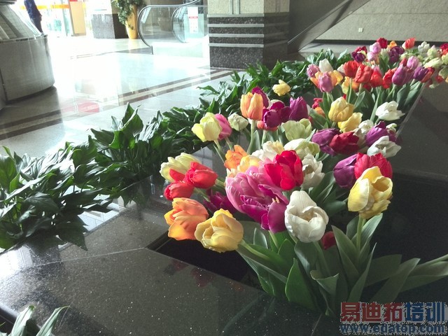 599Ԫˢ���Լ۱��¸� �����ֻ�2A���� 