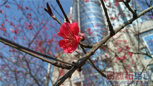 nubia Z9 Max�� (3)