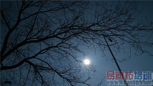 nubia Z9 Max�� (18)