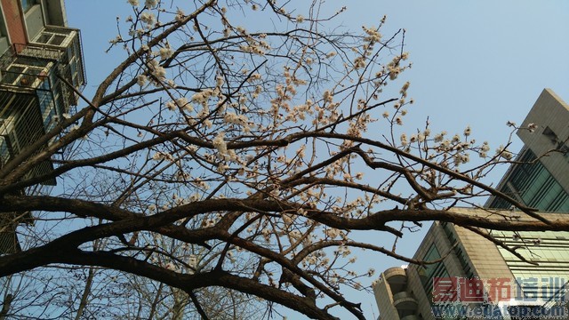 �ֻ���Ӱ����ǿ��! nubia Z9 Max�ײ� 