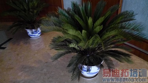 K3 Note����-11