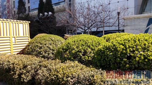 K3 Note����-4