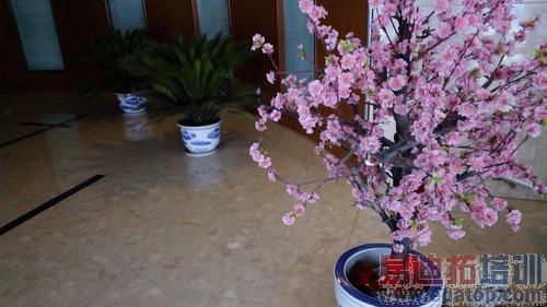 K3 Note����-10