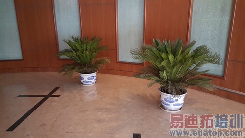 ����Galaxy S6����-19