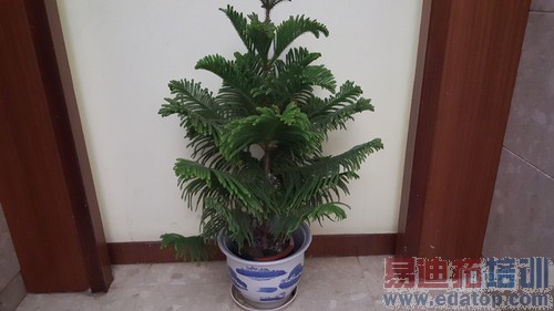 ����Galaxy S6����-20