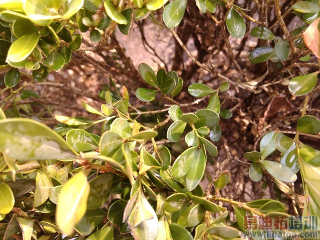 �������2? 699Ԫ����F1���ٰ��׷����� 