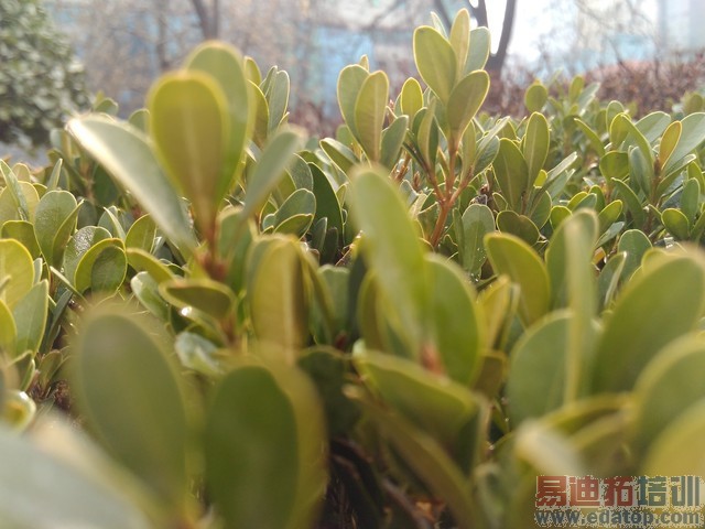 �������2? 699Ԫ����F1���ٰ��׷����� 